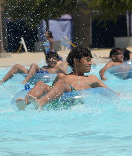 Diving Board