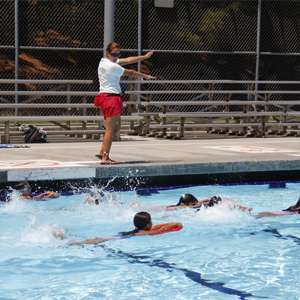 Group Swim Lessons