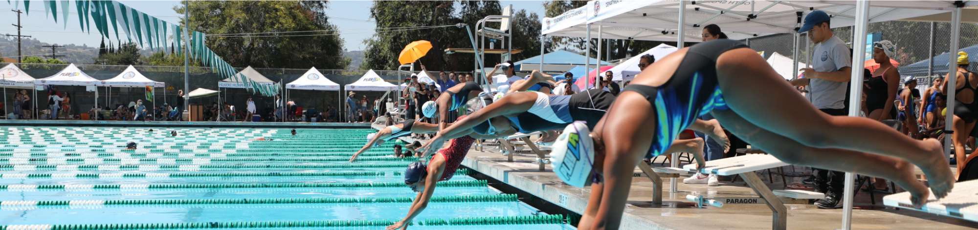 Swimming Lessons Banner